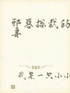 邪恶总裁的娇宠妻