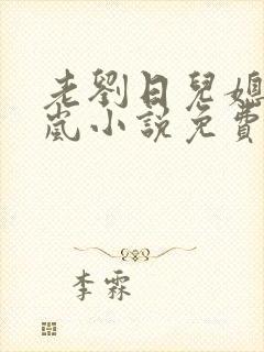 老刘日儿媳妇张岚小说免费阅读封面