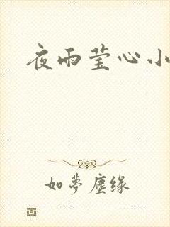 夜雨莹心小说
