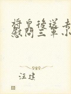 将皇后送去军营慰问三军小说封面