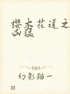 樱木花道之重生凶猛