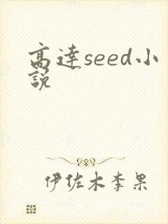 高达seed小说