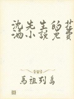 沈先生的花式调酒小说免费阅读