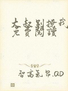 大叔别撩我小说免费阅读