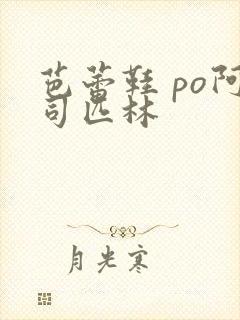 芭蕾鞋 po阿司匹林