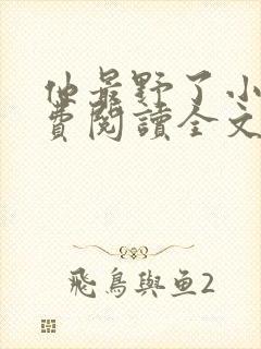 他最野了小说免费阅读全文