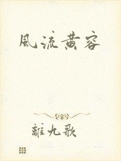 风流黄容封面