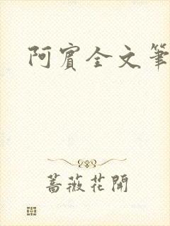 阿宾全文笔趣阁