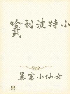 哈利波特小说下载