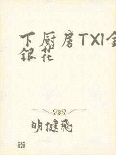 下厨房TXl金银花