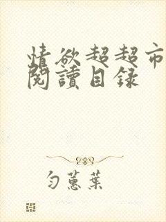 情欲超超市二全阅读目录封面