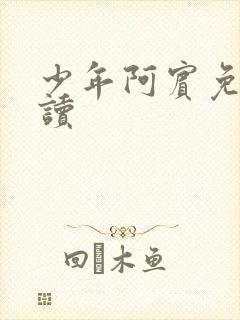 少年阿宾免费阅读