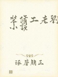 装修工老刘林雪小说