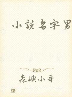 小说名字男生