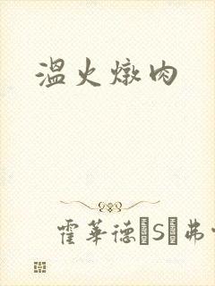 温火炖肉