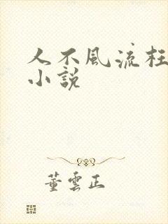 人不风流枉少年小说