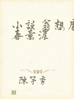 小说 翁想房中春意浓封面