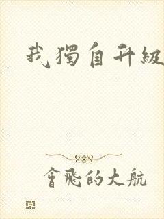 我独自升级封面