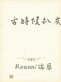 古时候扒灰小说