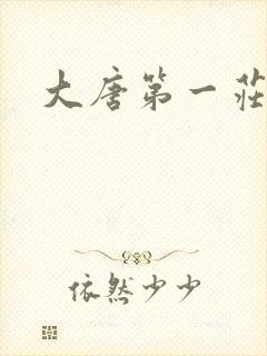 大唐第一庄