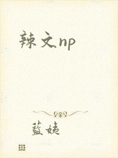 辣文np