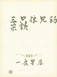 三只狼兄的宠妻宋钦封面