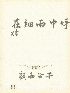 在细雨中呼喊txt