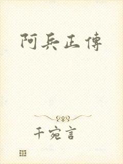 阿兵正传封面