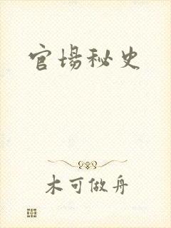 官场秘史
