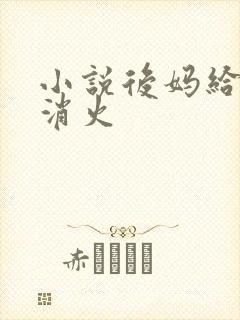 小说后妈给我消消火