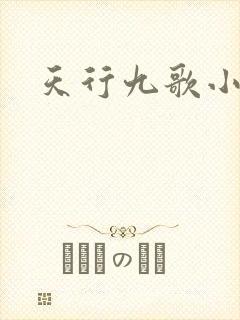 天行九歌小说