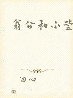 翁公和小莹封面