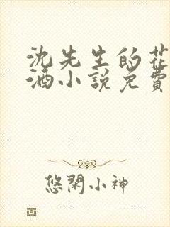 沈先生的花式调酒小说免费阅读