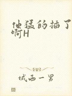 他猛的插了进去啊H