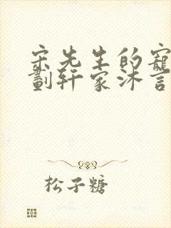 宋先生的宠妻计划轩家沐言