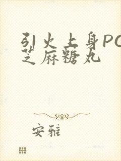 引火上身POP芝麻糖丸