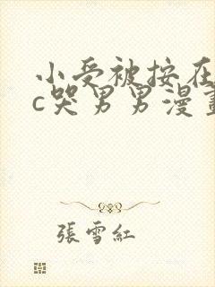 小受被按在墙上c哭男男漫画封面