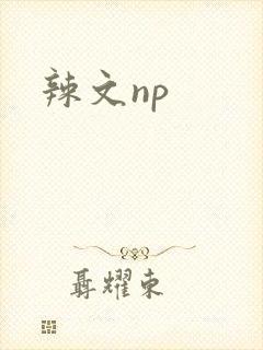 辣文np封面