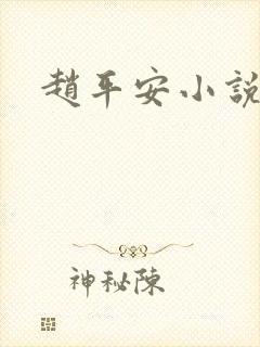 赵平安小说主角