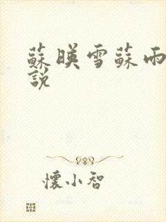 苏映雪苏雨柔小说封面