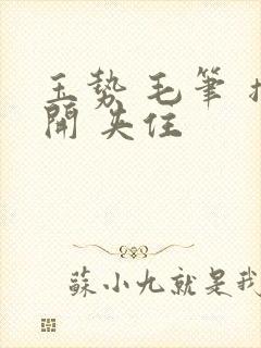 玉势 毛笔 撑开 夹住