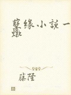 孽缘小说一家乱炖