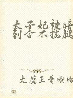 太子妃被暗卫C到合不拢腿