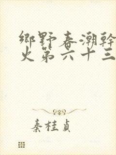 乡野春潮干柴烈火第六十三章