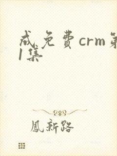 成免费crm第1集封面