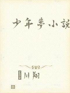 少年梦小说