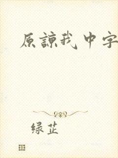 原谅我中字