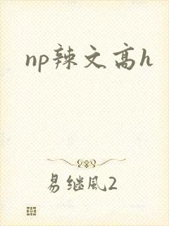 np辣文高h封面