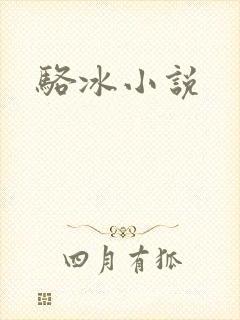 骆冰小说封面