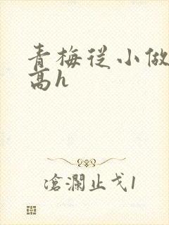 青梅从小做到大高h
